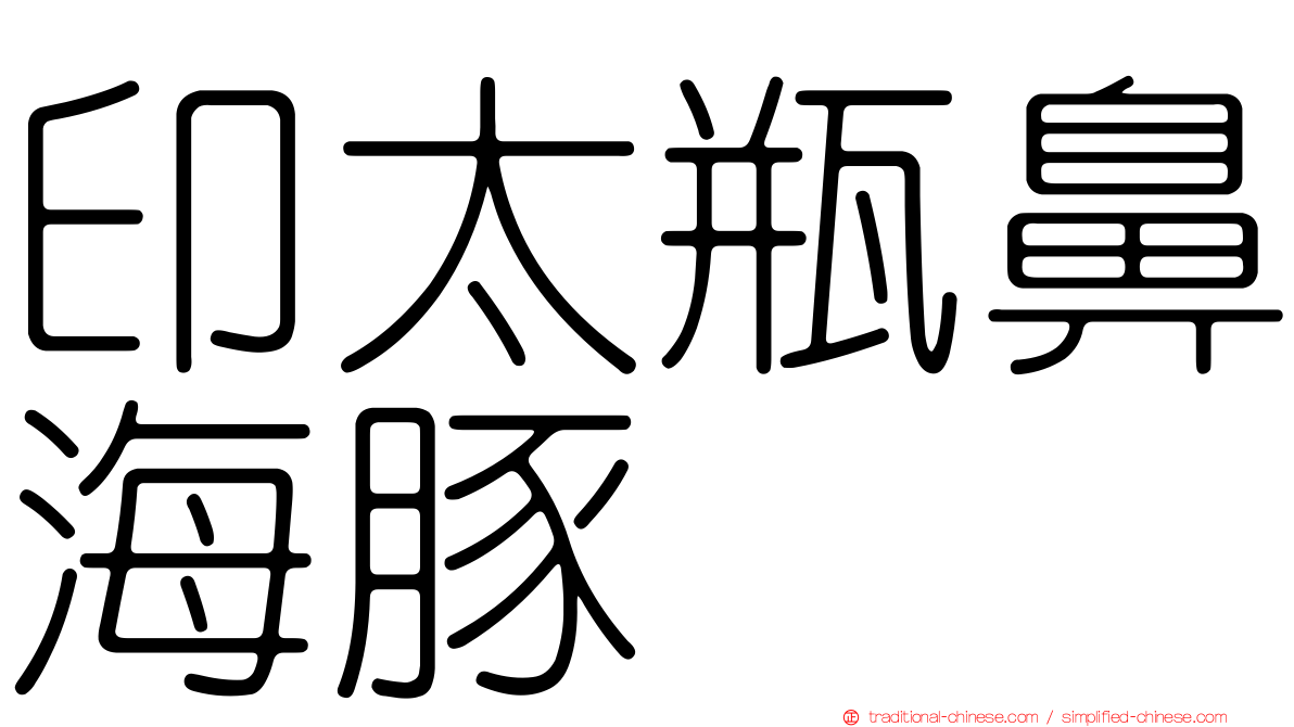 印太瓶鼻海豚