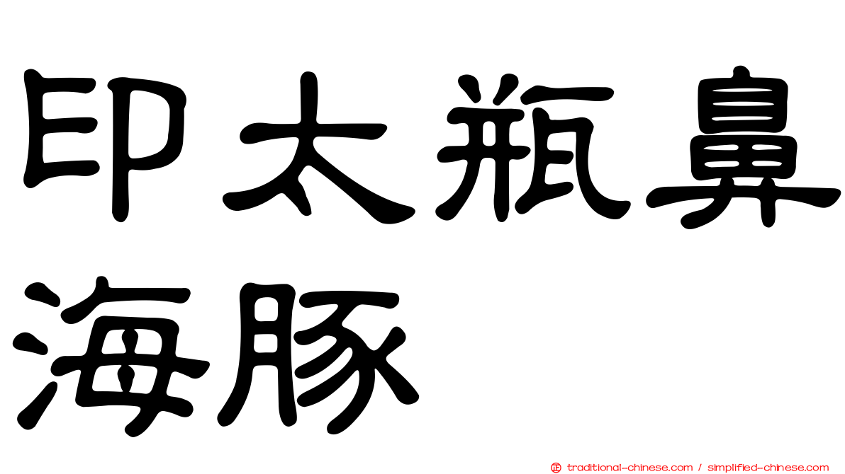 印太瓶鼻海豚