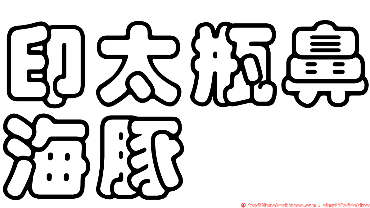 印太瓶鼻海豚