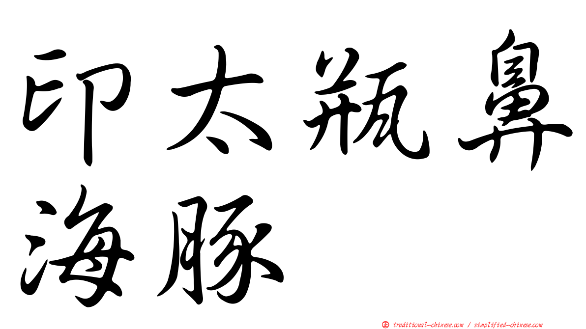 印太瓶鼻海豚