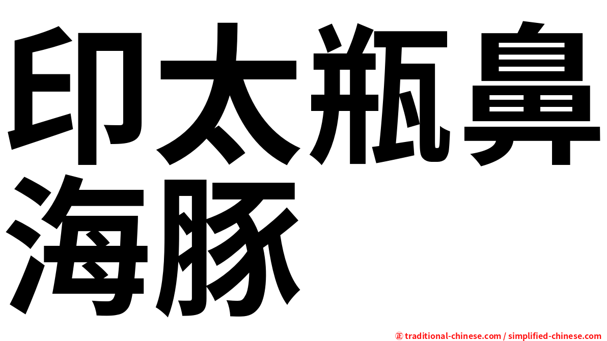 印太瓶鼻海豚