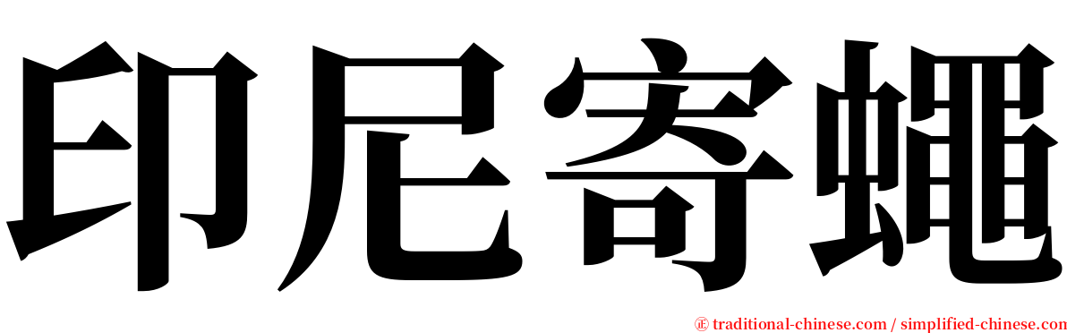 印尼寄蠅 serif font