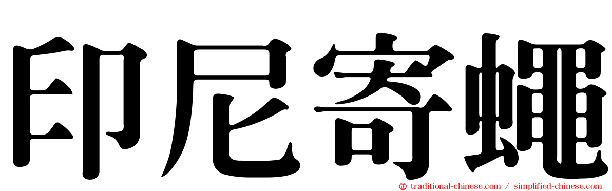印尼寄蠅