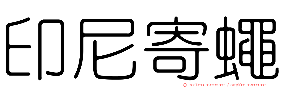 印尼寄蠅