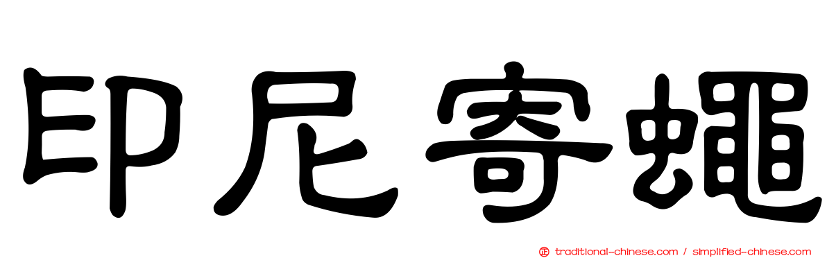 印尼寄蠅