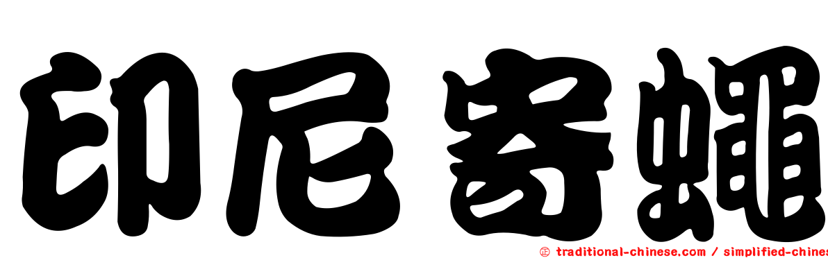 印尼寄蠅