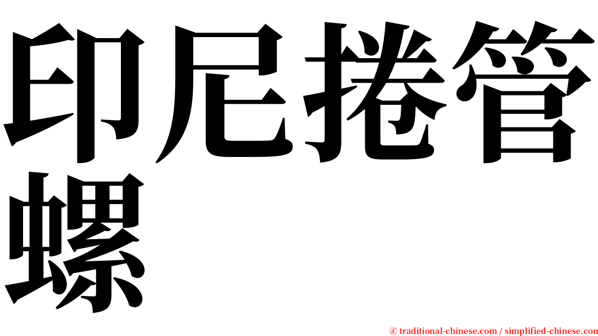 印尼捲管螺 serif font