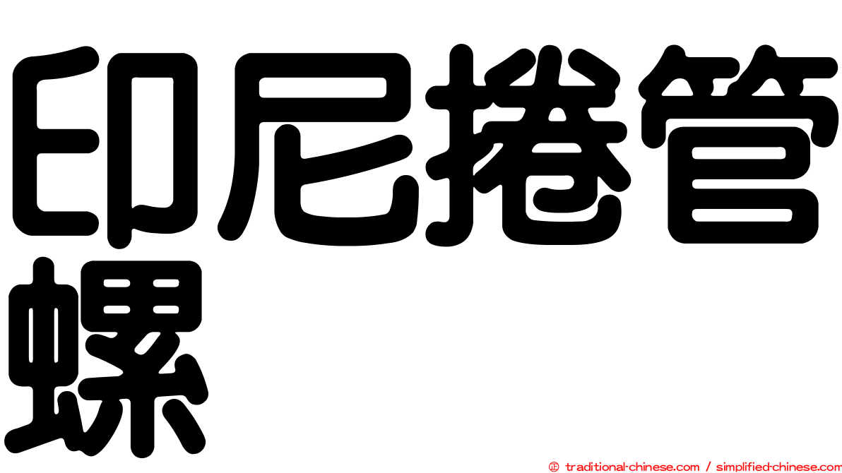 印尼捲管螺