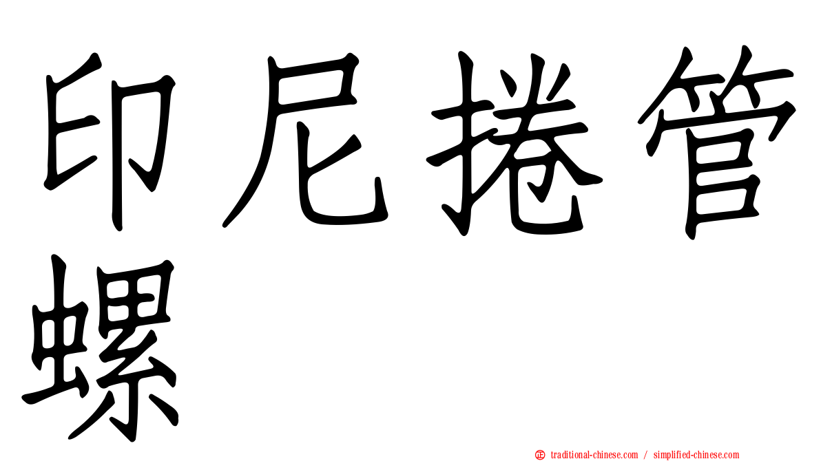 印尼捲管螺