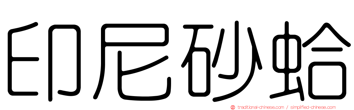 印尼砂蛤