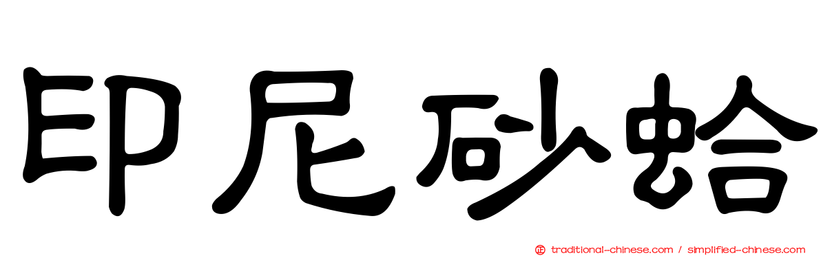 印尼砂蛤