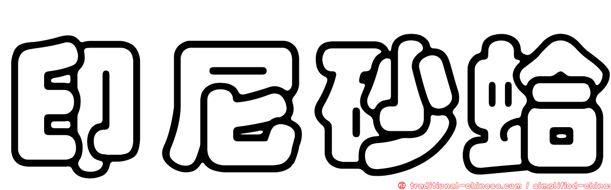 印尼砂蛤