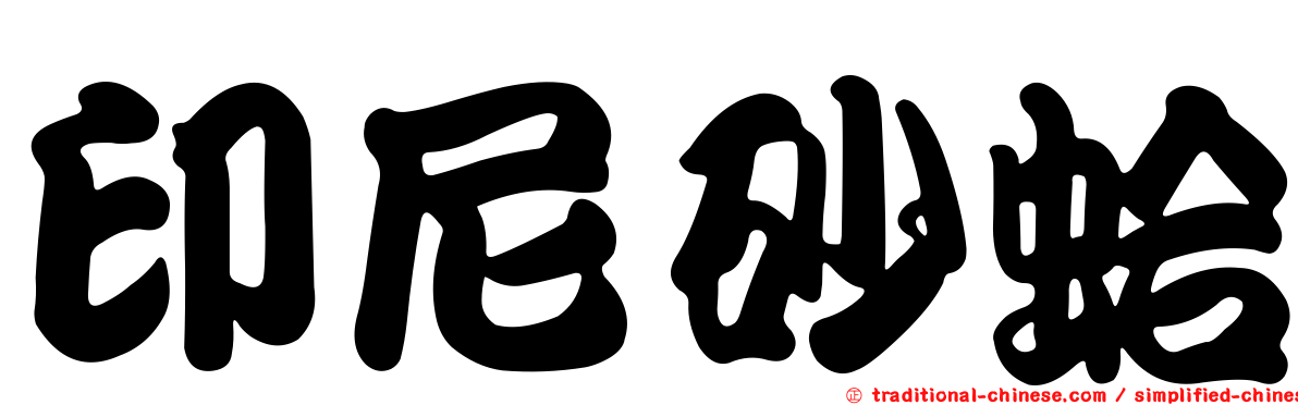 印尼砂蛤