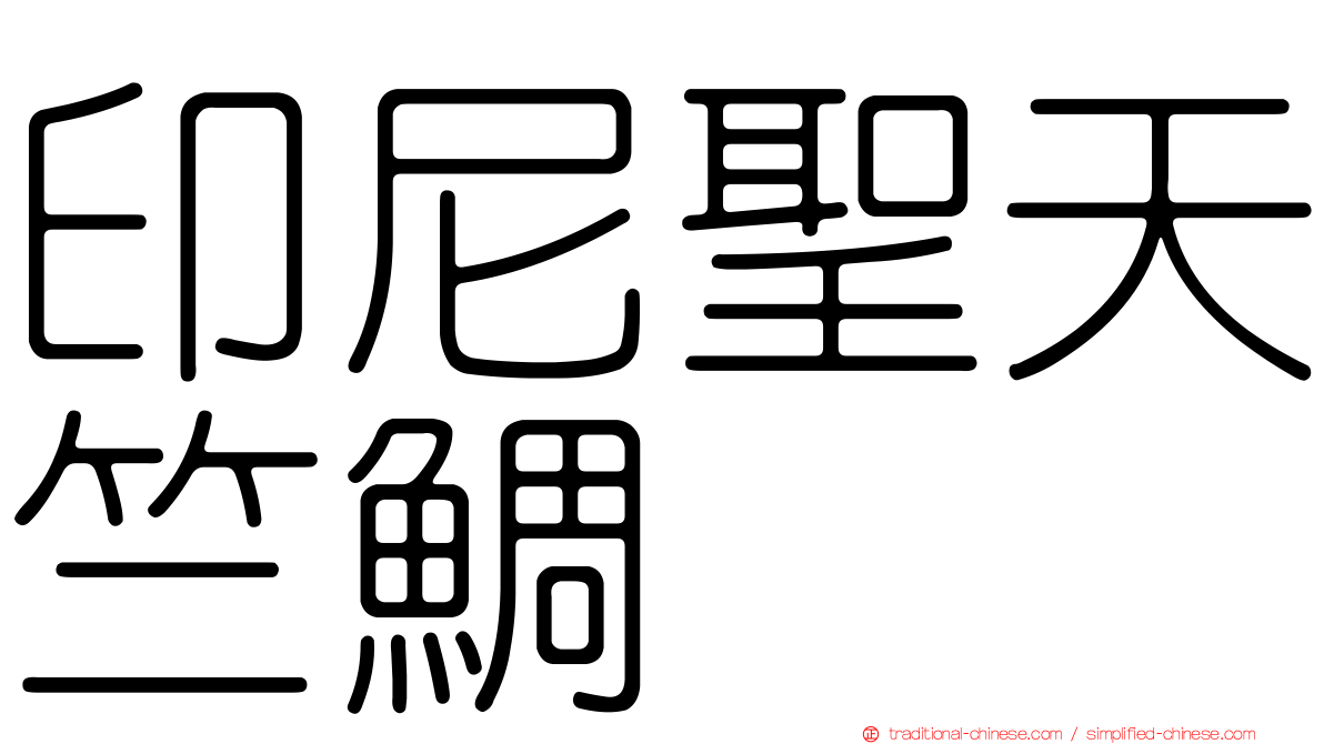 印尼聖天竺鯛