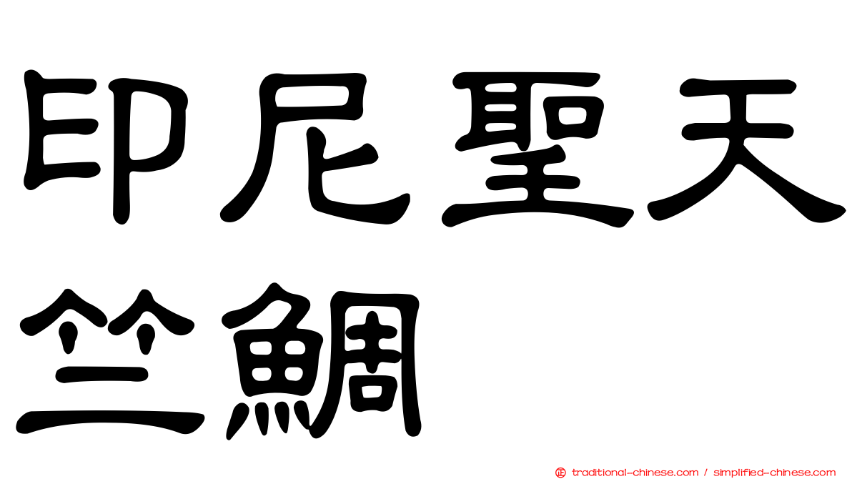 印尼聖天竺鯛