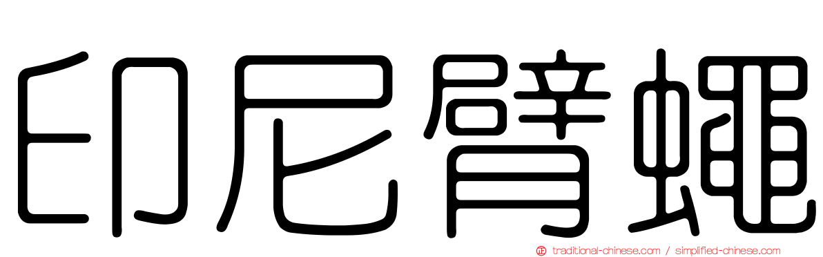 印尼臂蠅