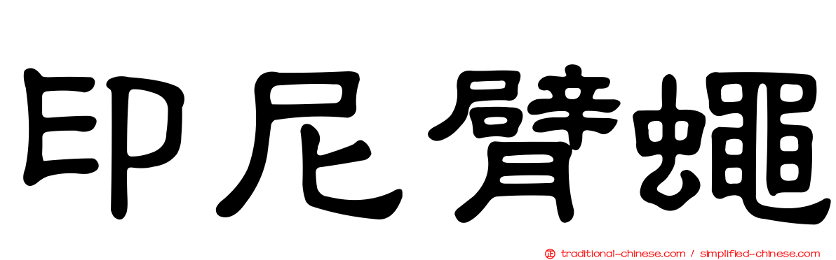 印尼臂蠅