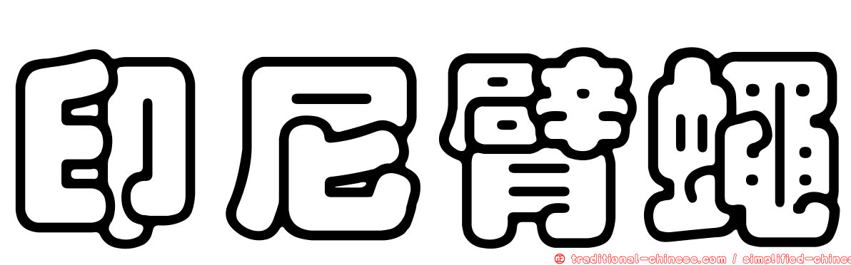 印尼臂蠅