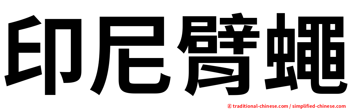 印尼臂蠅
