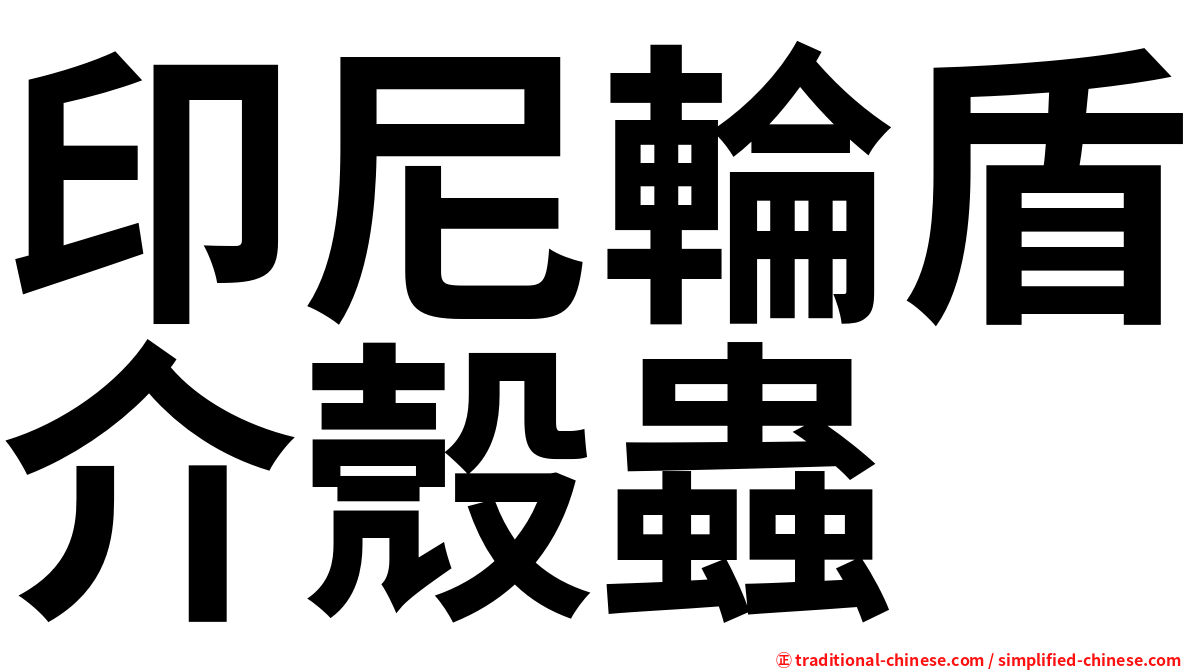 印尼輪盾介殼蟲