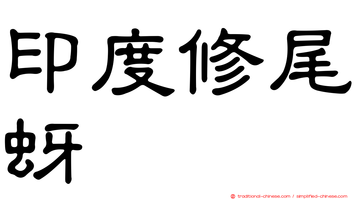 印度修尾蚜