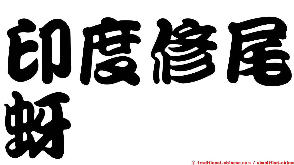 印度修尾蚜