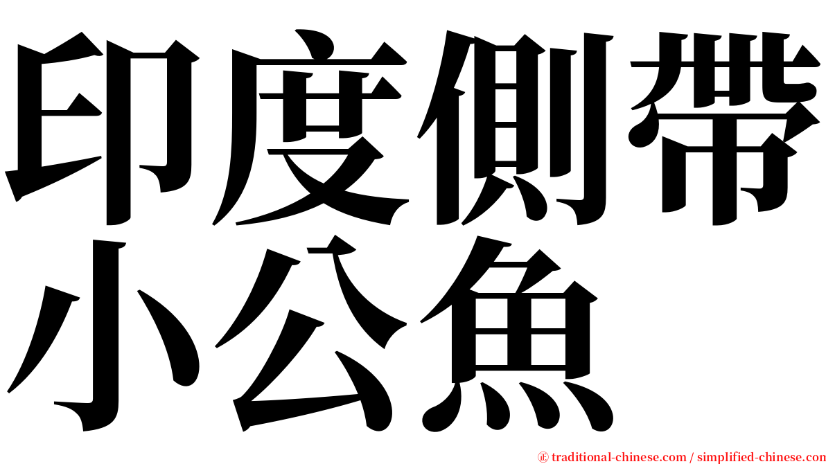 印度側帶小公魚 serif font