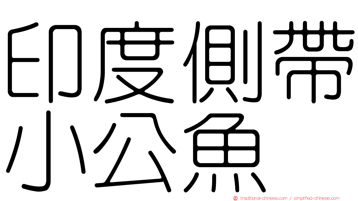 印度側帶小公魚