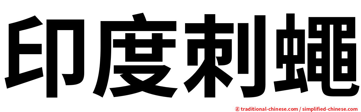 印度刺蠅