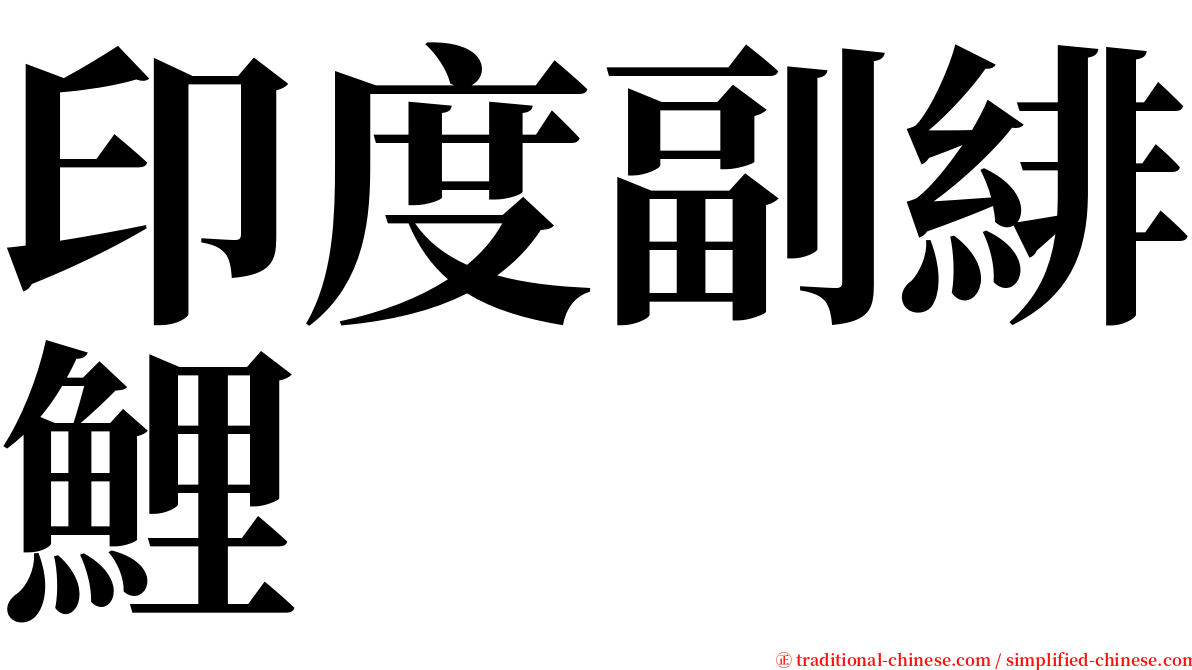 印度副緋鯉 serif font