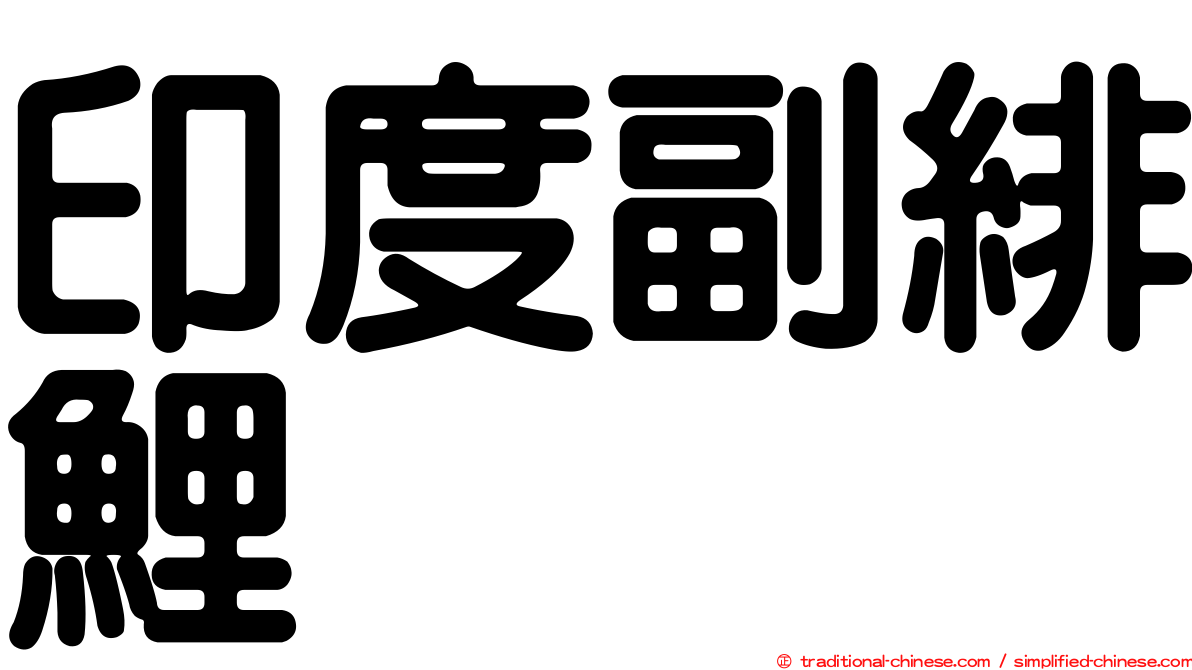 印度副緋鯉