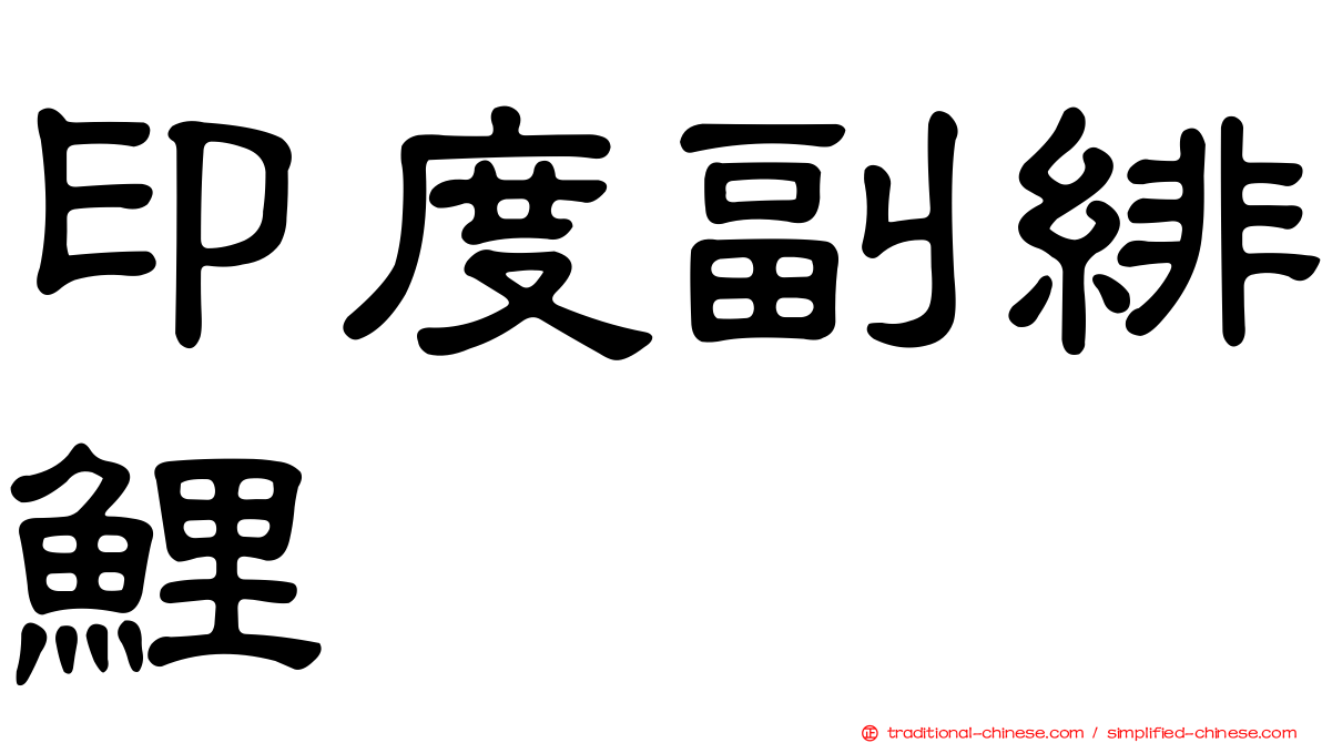 印度副緋鯉