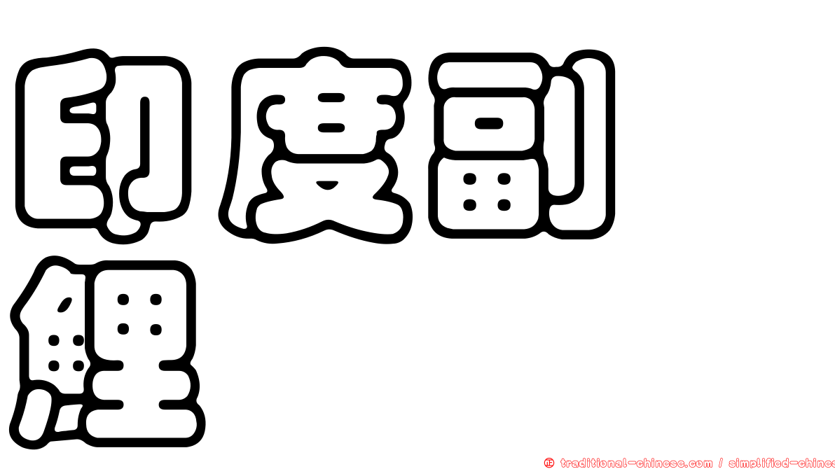 印度副緋鯉