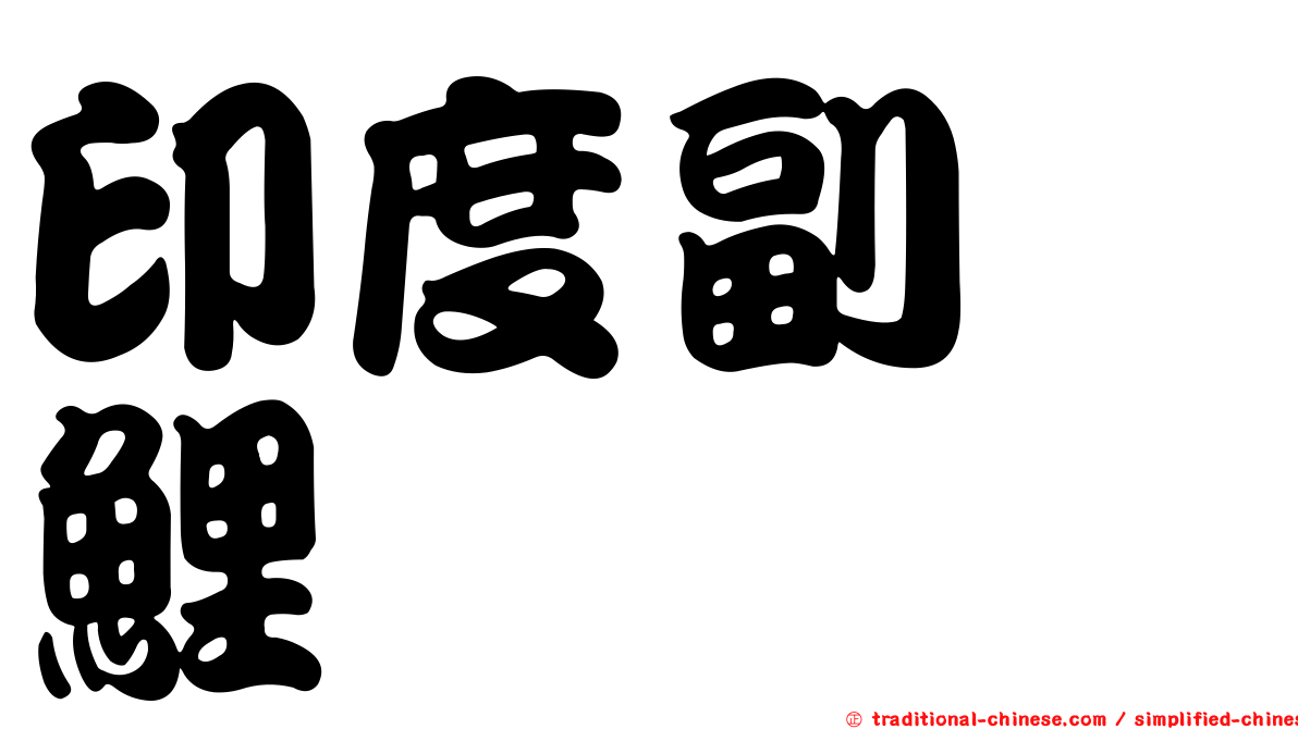 印度副緋鯉