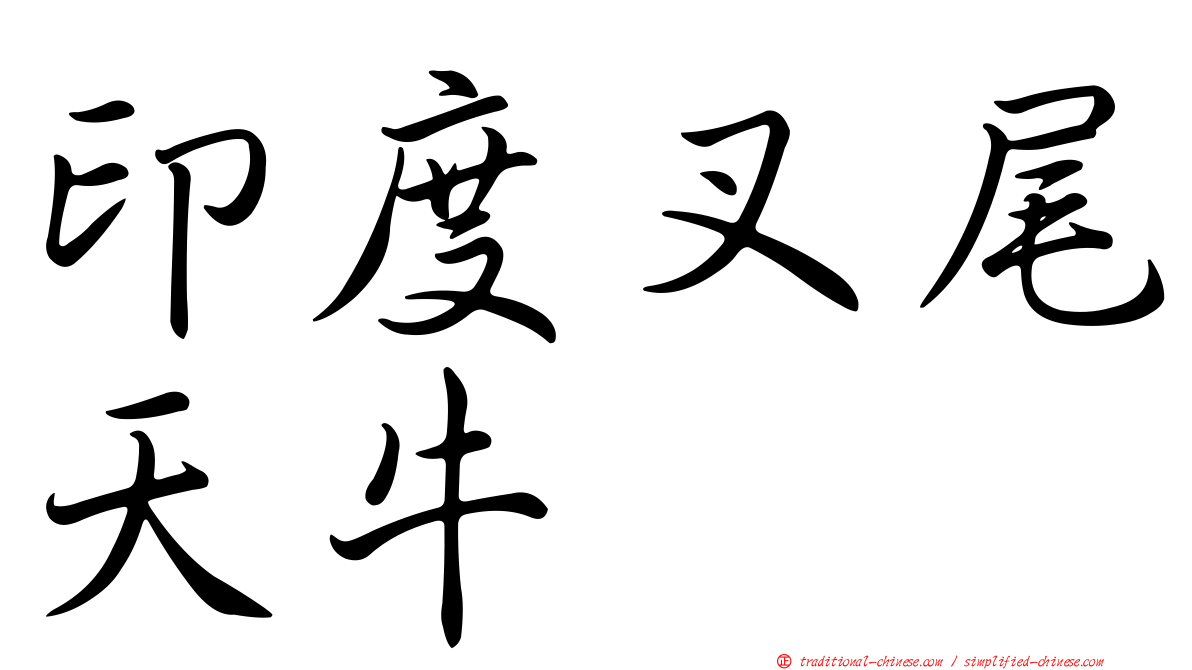 印度叉尾天牛