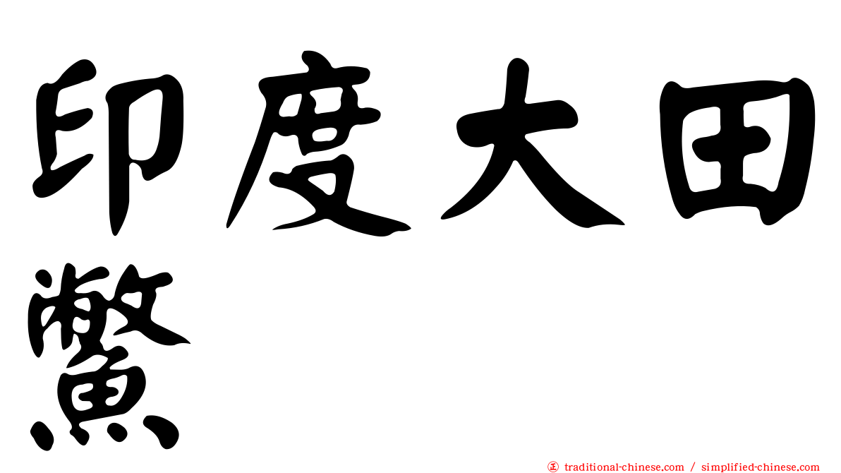印度大田鱉