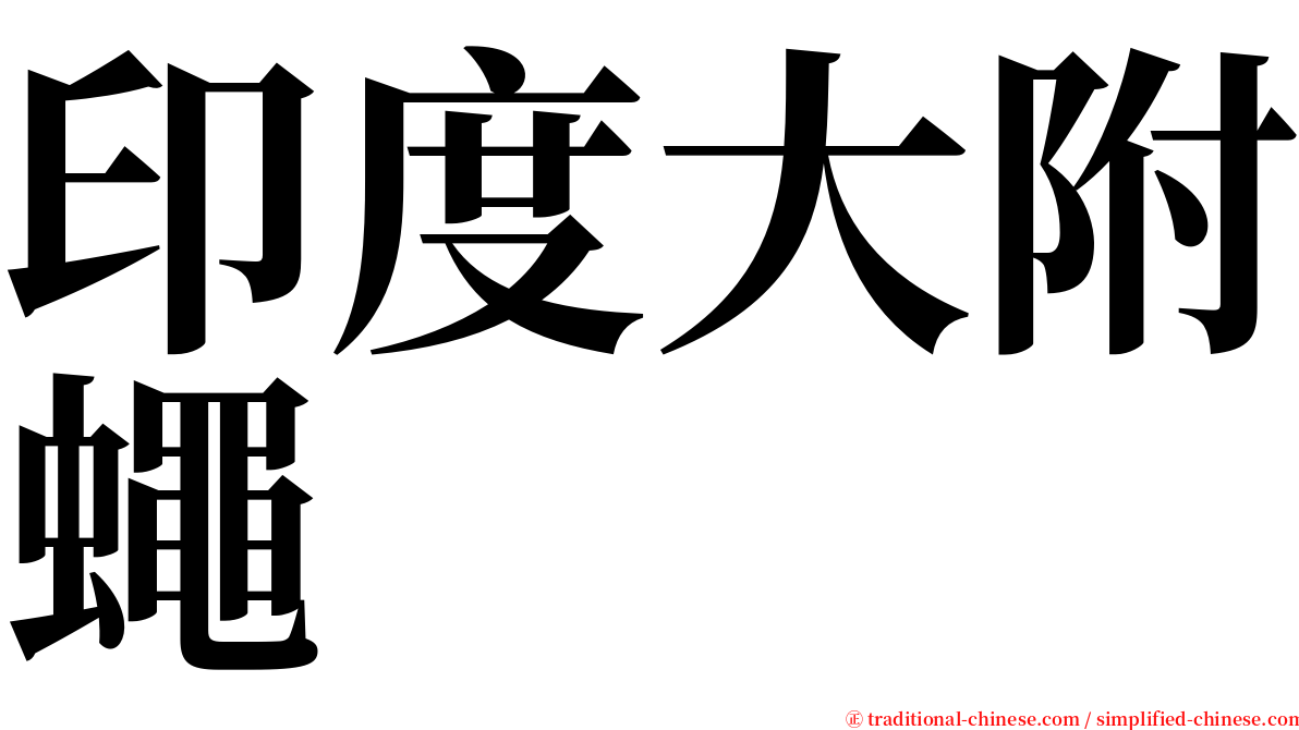 印度大附蠅 serif font