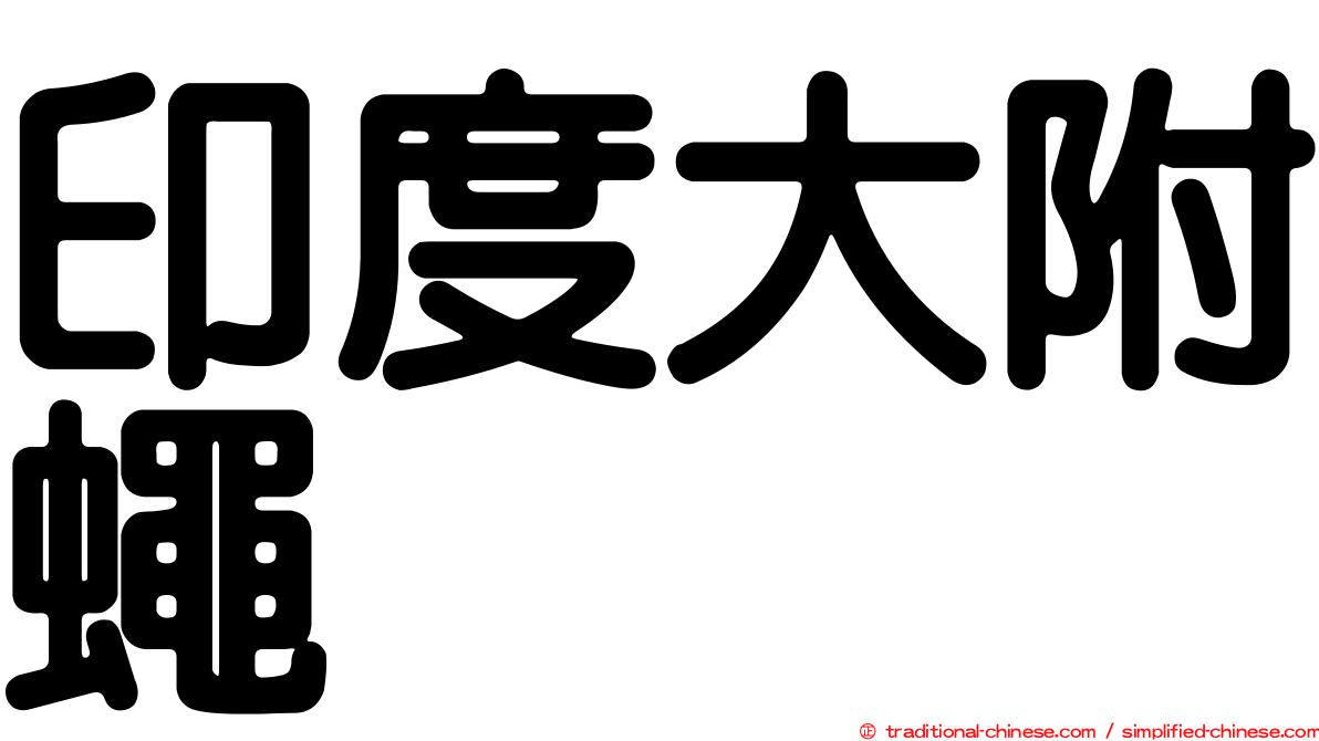 印度大附蠅