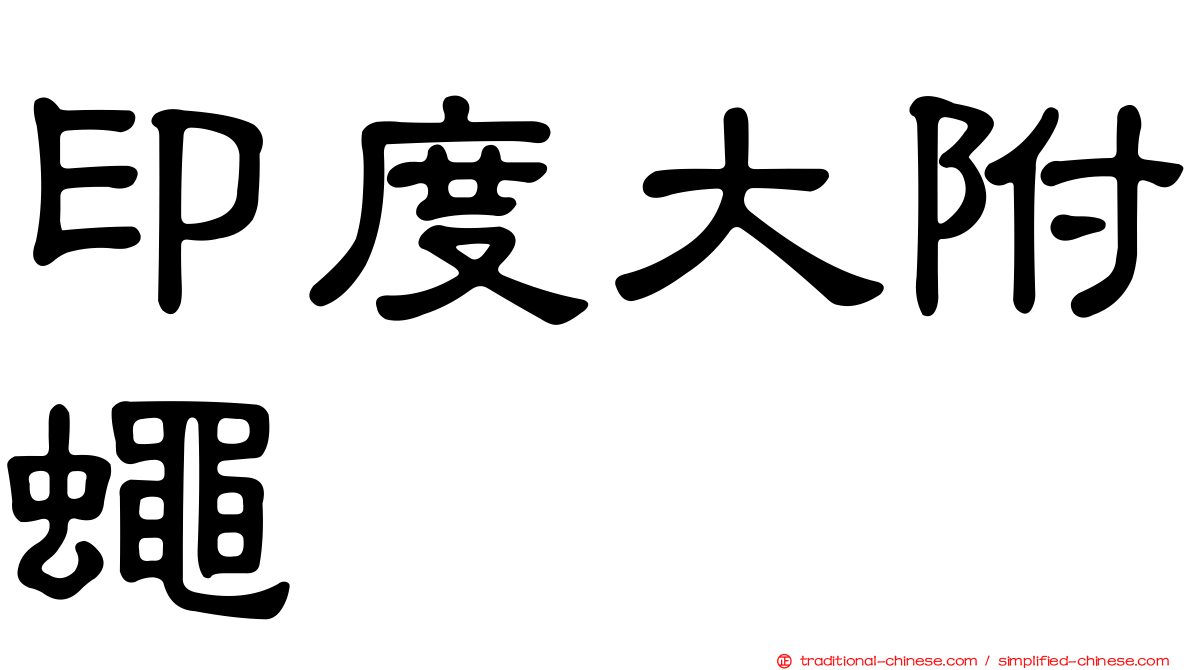 印度大附蠅