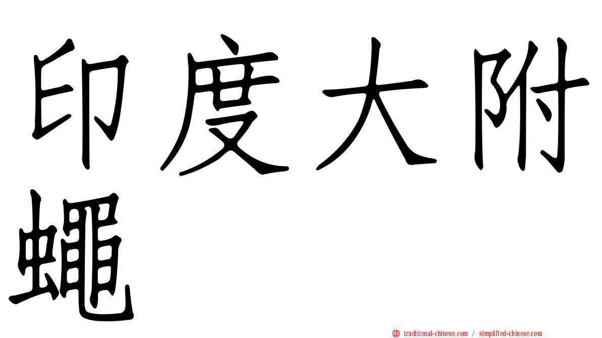 印度大附蠅
