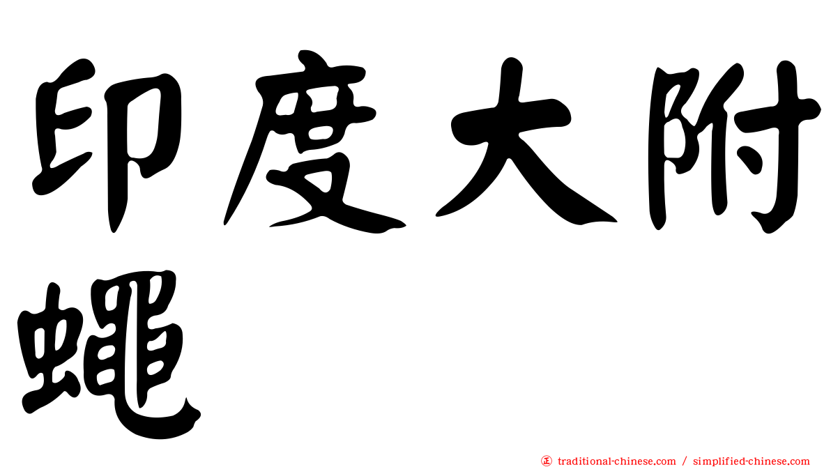 印度大附蠅