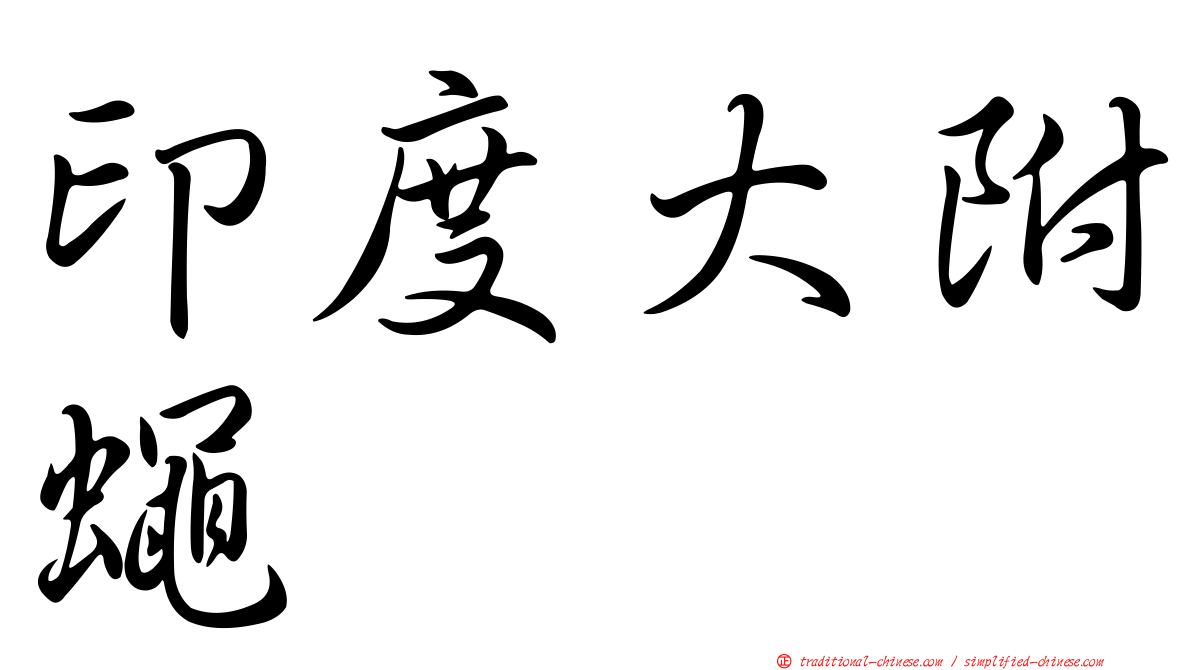 印度大附蠅