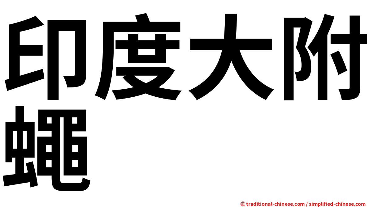 印度大附蠅