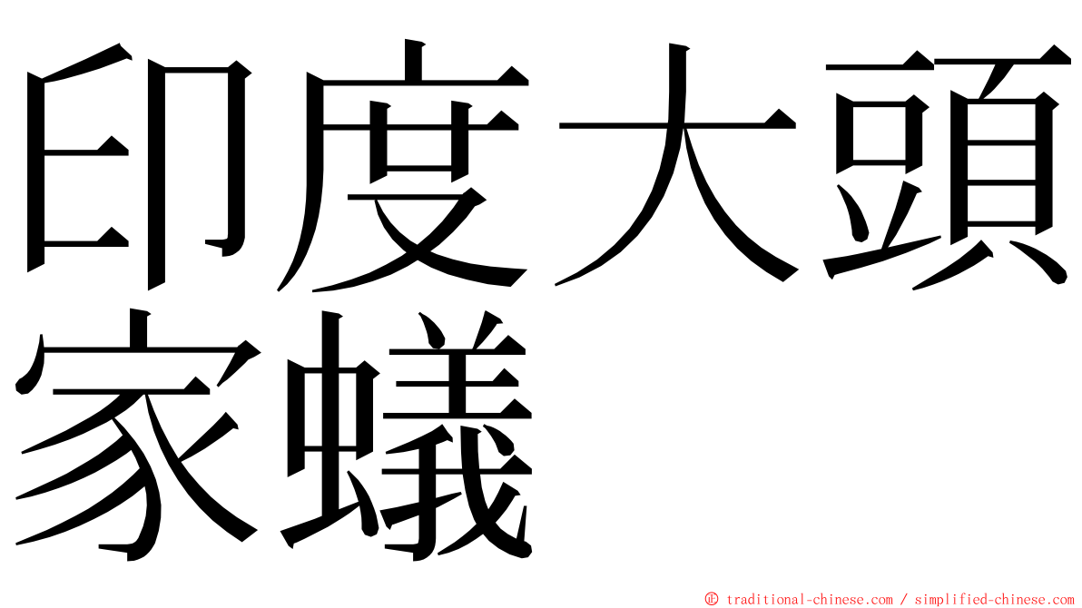 印度大頭家蟻 ming font