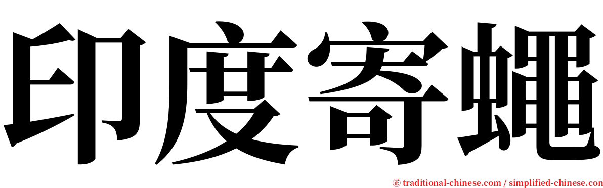 印度寄蠅 serif font