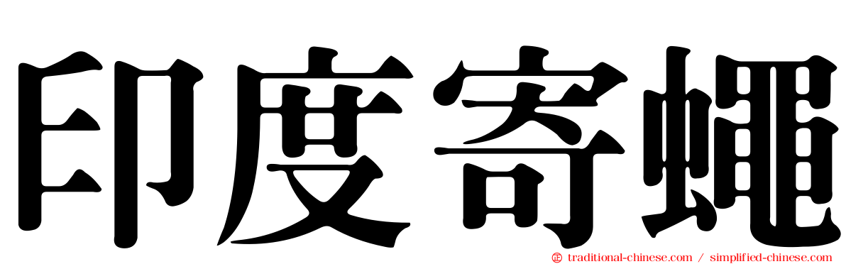 印度寄蠅