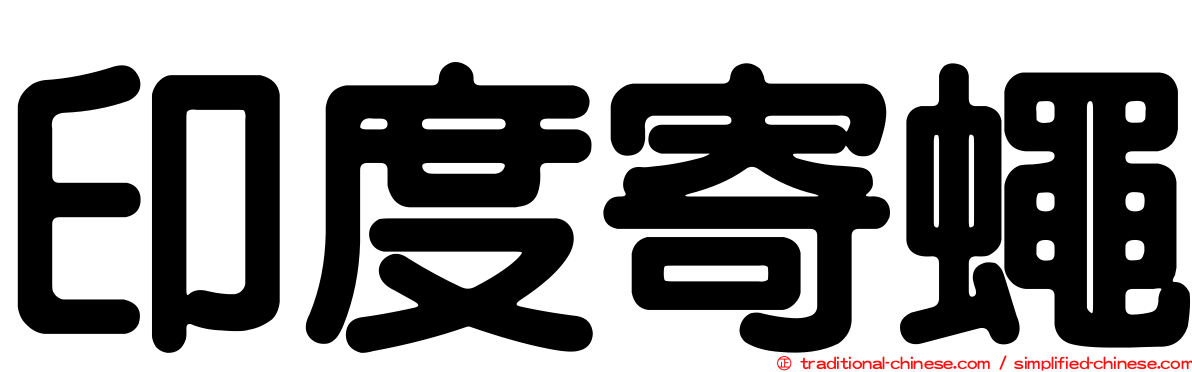 印度寄蠅