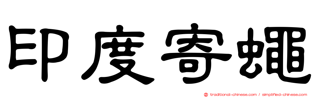 印度寄蠅