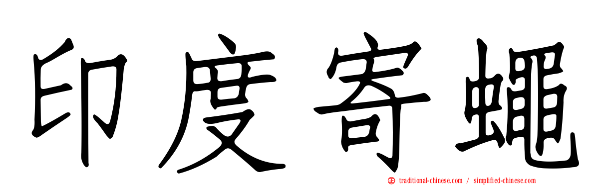 印度寄蠅