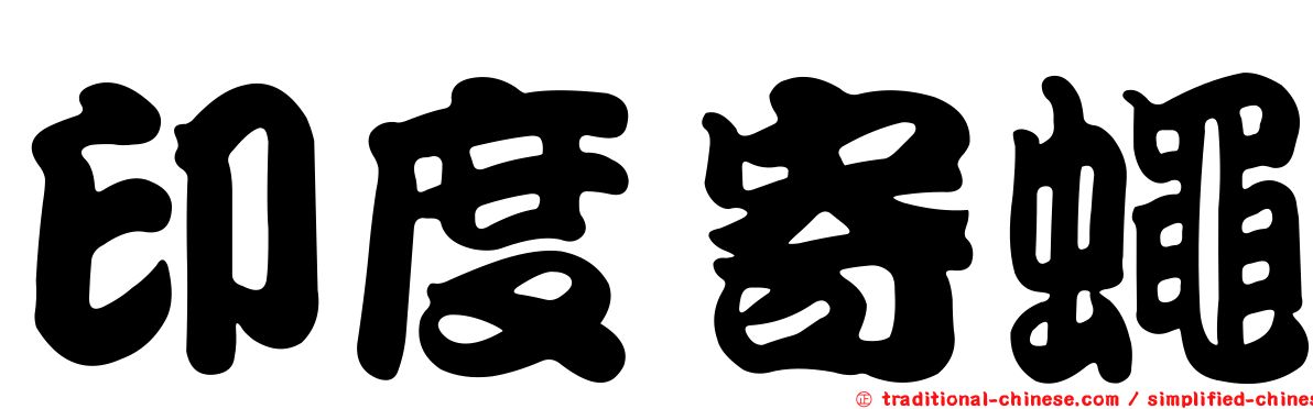 印度寄蠅